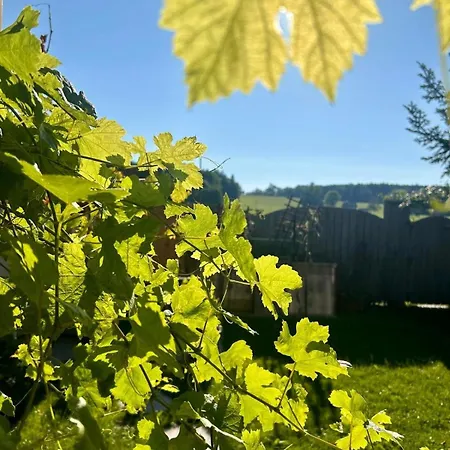 Haus Margit Holiday home *