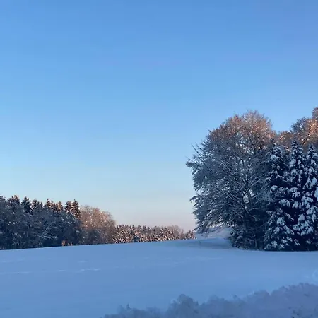 Holiday home Haus Margit *