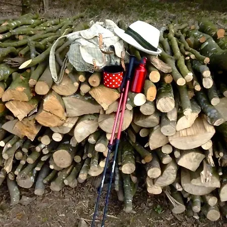 Haus Margit Berndorf bei Salzburg