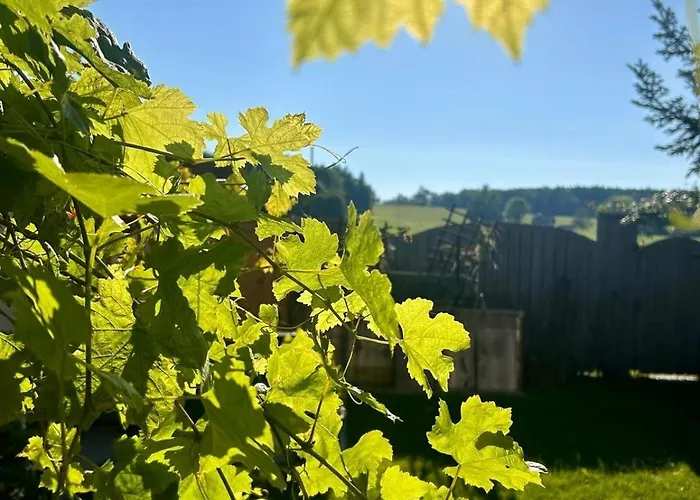 Haus Margit Feriehus *