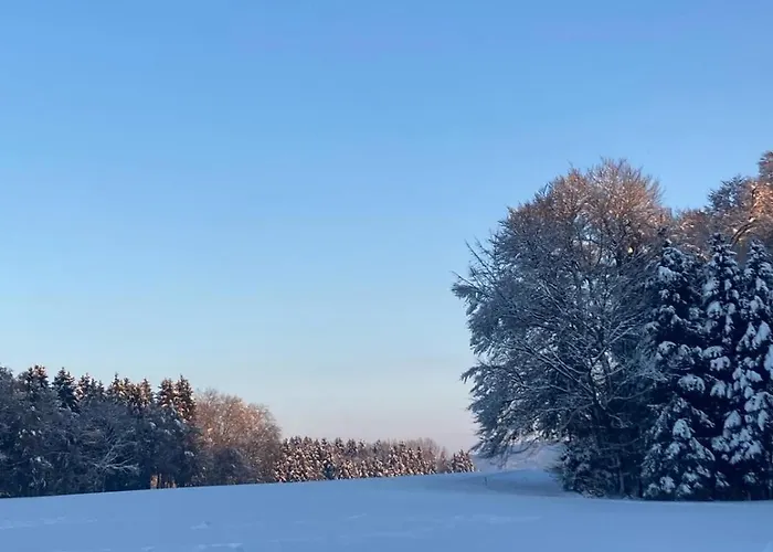 Tatil Evi Haus Margit *