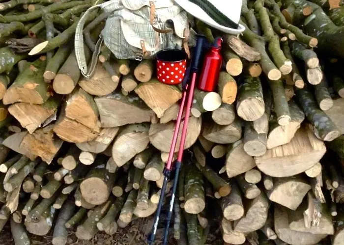 Haus Margit Berndorf bei Salzburg